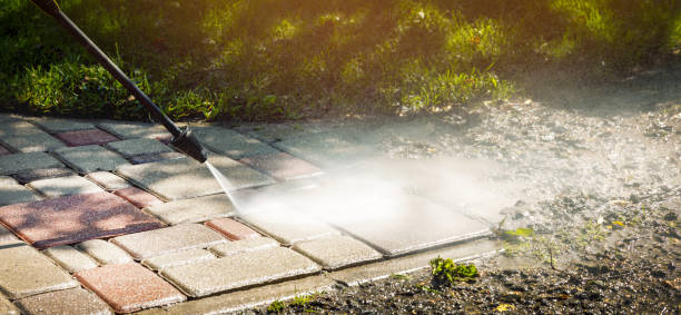 Best Animal Enclosure Cleaning  in Griffin, GA